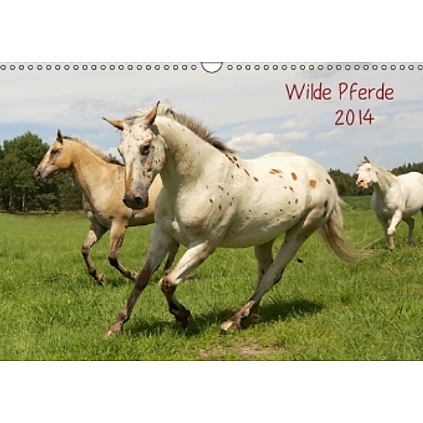 Wilde Pferde (Wandkalender 2014 DIN A3 quer), Jens Kalanke