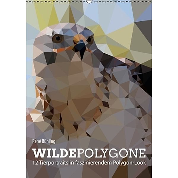 Wilde Polygone (Wandkalender 2016 DIN A2 hoch), René Bühling