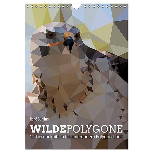 Wilde Polygone (Wandkalender 2024 DIN A4 hoch), CALVENDO Monatskalender, René Bühling
