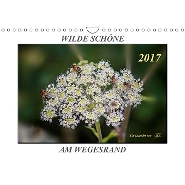 Wilde Schöne am Wegesrand - Blumen und Pflanzen (Wandkalender 2017 DIN A4 quer), Peter Roder