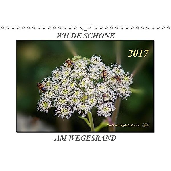 Wilde Schöne am Wegesrand (Wandkalender 2017 DIN A4 quer), Peter Roder
