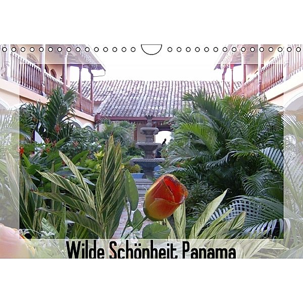 Wilde Schönheit Panama (Wandkalender 2014 DIN A4 quer), Michaela Kröger, Heinrich Kröger