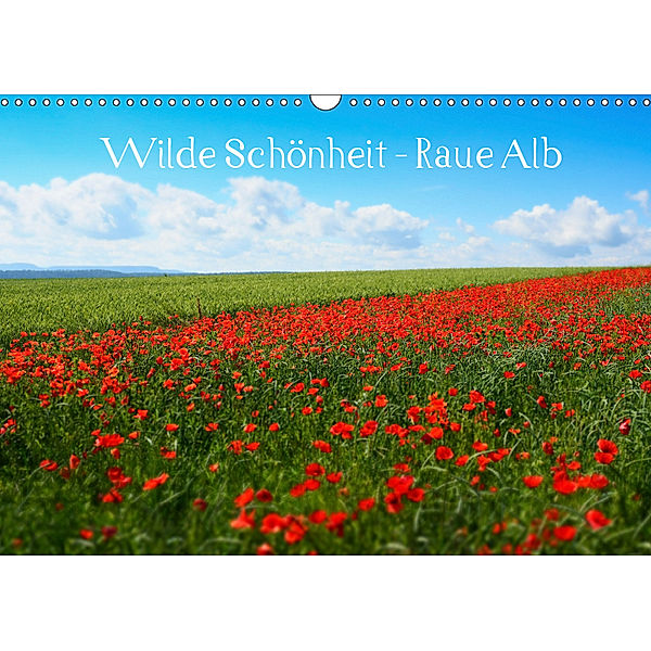 Wilde Schönheit - Raue Alb (Wandkalender 2019 DIN A3 quer)