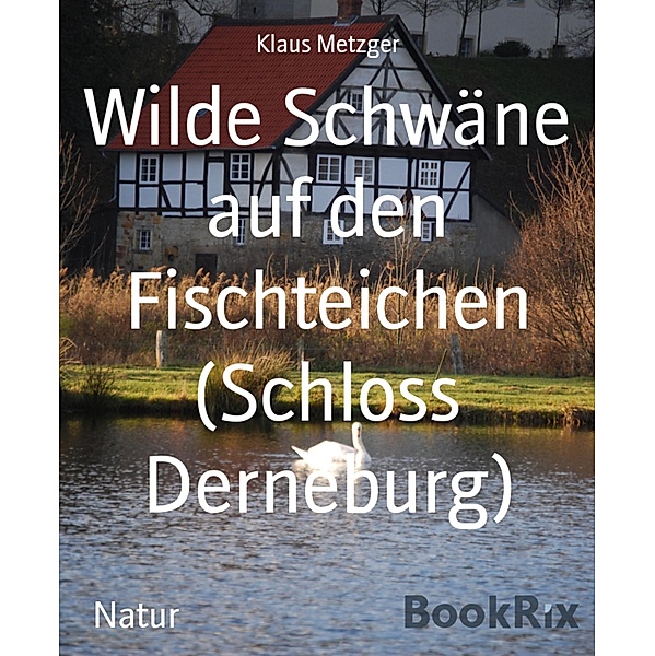 Wilde Schwäne auf den Fischteichen (Schloss Derneburg), Klaus Metzger