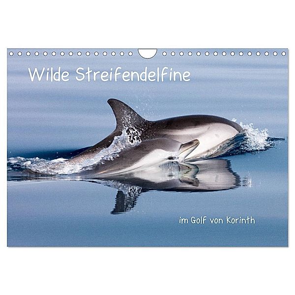 Wilde Streifendelfine im Golf von Korinth (Wandkalender 2024 DIN A4 quer), CALVENDO Monatskalender, Jörg Bouillon