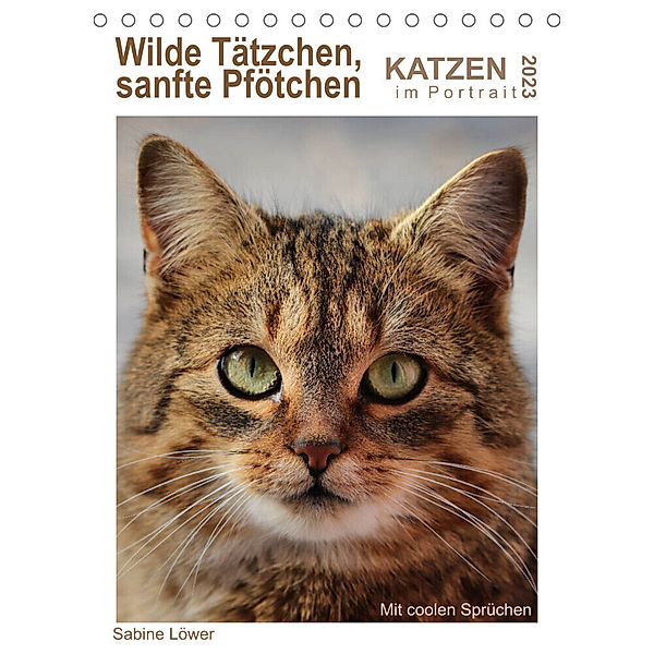 Wilde Tätzchen, sanfte Pfötchen (Tischkalender 2023 DIN A5 hoch), Sabine Löwer