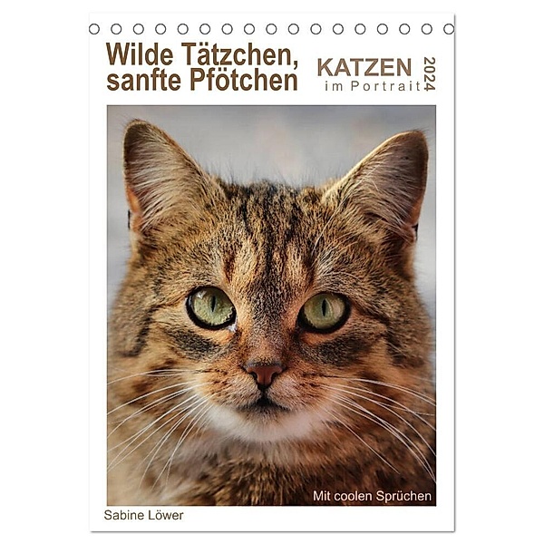 Wilde Tätzchen, sanfte Pfötchen (Tischkalender 2024 DIN A5 hoch), CALVENDO Monatskalender, Sabine Löwer