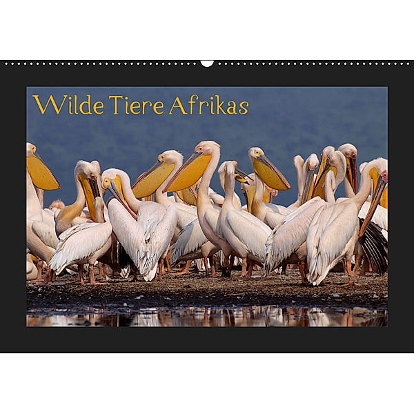 Wilde Tiere Afrikas (Wandkalender 2019 DIN A2 quer), Uta Depner