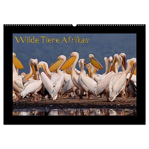 Wilde Tiere Afrikas (Wandkalender 2024 DIN A2 quer), CALVENDO Monatskalender, Uta Depner