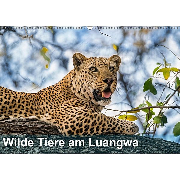 Wilde Tiere am Luangwa (Wandkalender 2020 DIN A2 quer), Bruno Pohl