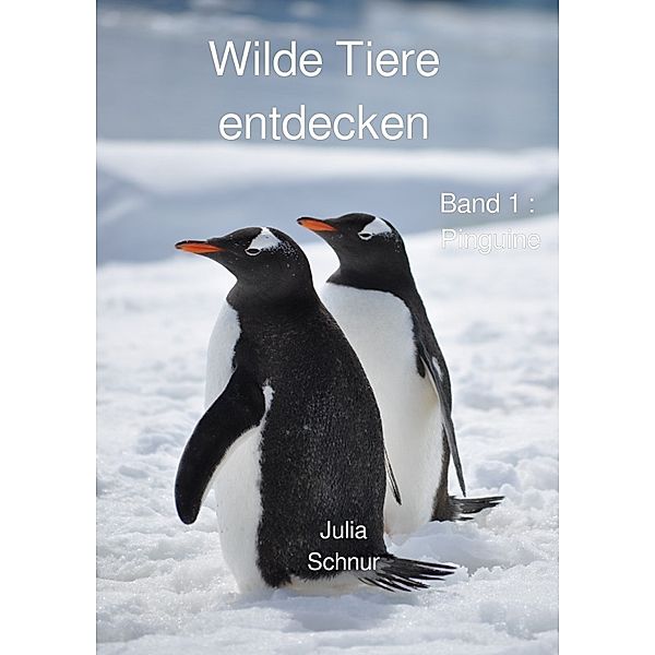 Wilde Tiere entdecken, Julia Schnur