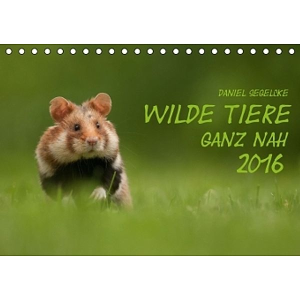 Wilde Tiere - Ganz nah (Tischkalender 2016 DIN A5 quer), Daniel Segelcke