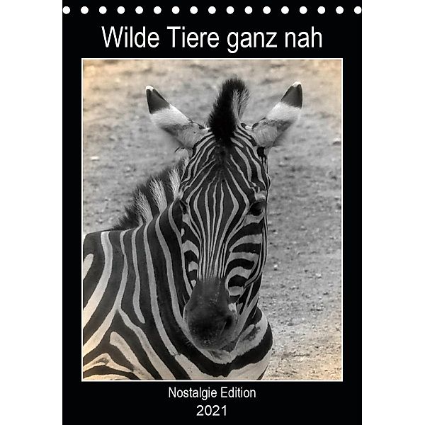 Wilde Tiere ganz nah (Tischkalender 2021 DIN A5 hoch), Kattobello