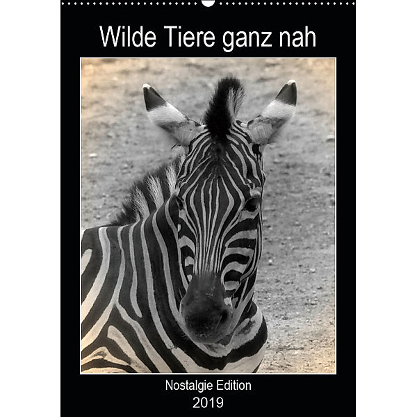 Wilde Tiere ganz nah (Wandkalender 2019 DIN A2 hoch), kattobello