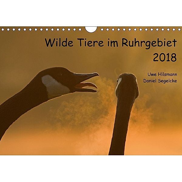 Wilde Tiere im Ruhrgebiet (Wandkalender 2018 DIN A4 quer), Uwe Hilsmann