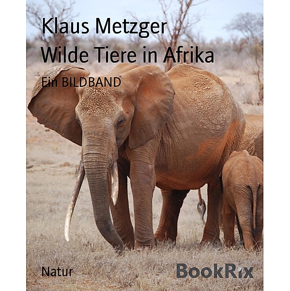 Wilde Tiere in Afrika, Klaus Metzger