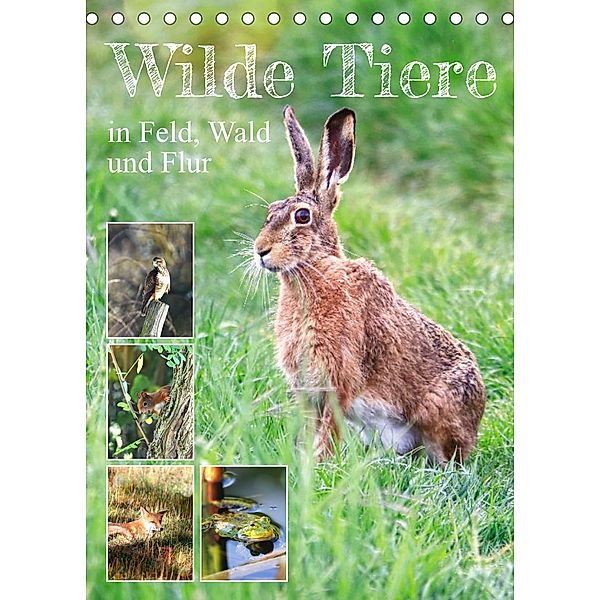 Wilde Tiere in Feld, Wald und Flur (Tischkalender 2023 DIN A5 hoch), Sabine Löwer