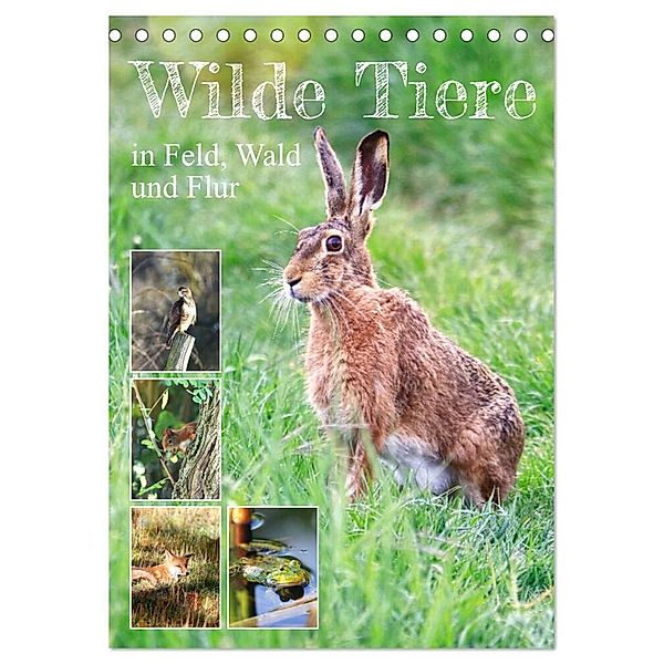 Wilde Tiere in Feld, Wald und Flur (Tischkalender 2024 DIN A5 hoch), CALVENDO Monatskalender, Sabine Löwer