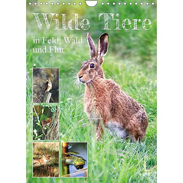Wilde Tiere in Feld, Wald und Flur (Wandkalender 2023 DIN A4 hoch), Sabine Löwer
