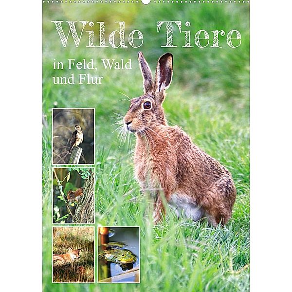 Wilde Tiere in Feld, Wald und Flur (Wandkalender 2023 DIN A2 hoch), Sabine Löwer