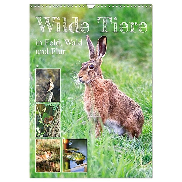 Wilde Tiere in Feld, Wald und Flur (Wandkalender 2024 DIN A3 hoch), CALVENDO Monatskalender, Sabine Löwer