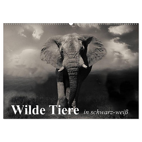 Wilde Tiere in schwarz-weiß (Wandkalender 2024 DIN A2 quer), CALVENDO Monatskalender, Elisabeth Stanzer