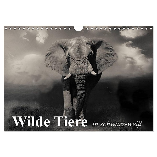 Wilde Tiere in schwarz-weiß (Wandkalender 2024 DIN A4 quer), CALVENDO Monatskalender, Elisabeth Stanzer