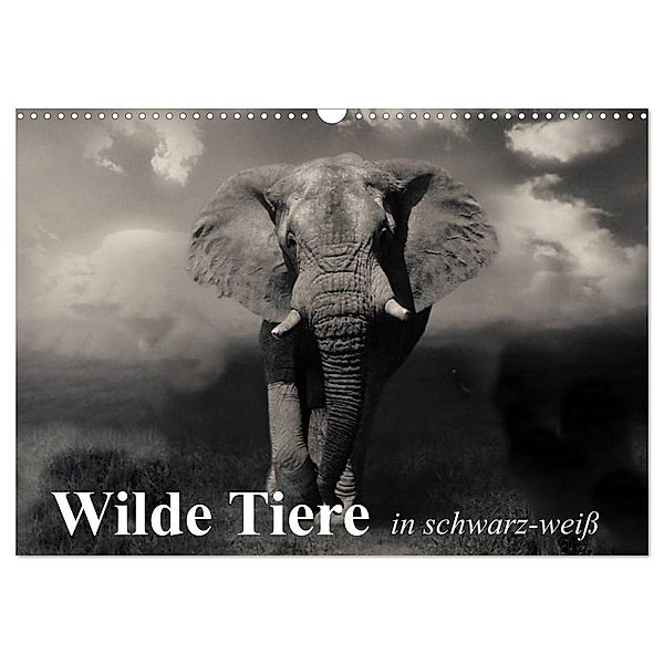 Wilde Tiere in schwarz-weiss (Wandkalender 2024 DIN A3 quer), CALVENDO Monatskalender, Elisabeth Stanzer