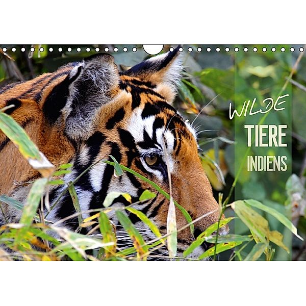 Wilde Tiere Indiens (Wandkalender 2018 DIN A4 quer) Dieser erfolgreiche Kalender wurde dieses Jahr mit gleichen Bildern, Manfred Bergermann