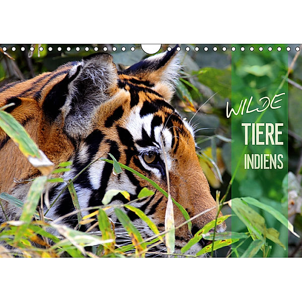 Wilde Tiere Indiens (Wandkalender 2019 DIN A4 quer), Manfred Bergermann