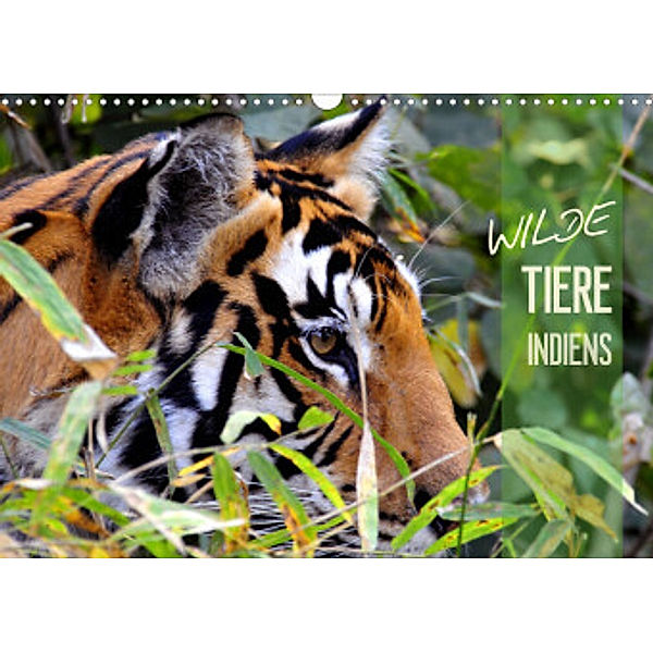 Wilde Tiere Indiens (Wandkalender 2022 DIN A3 quer), Manfred Bergermann