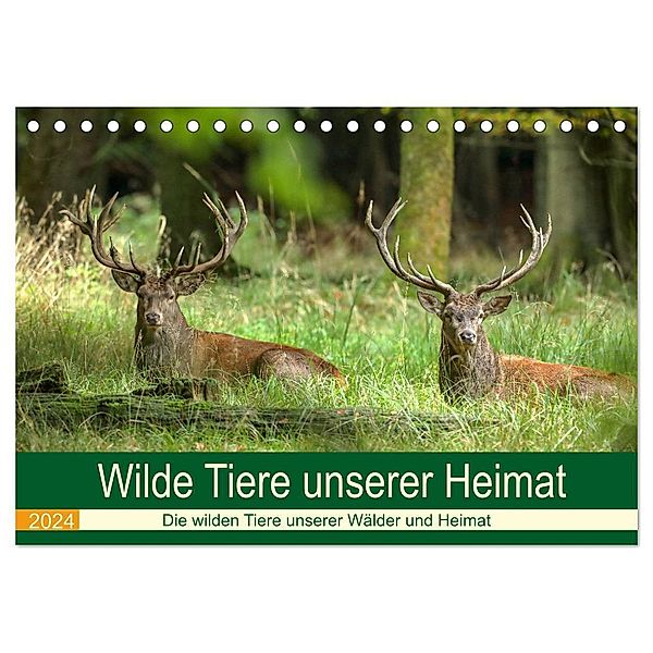 Wilde Tiere unserer Heimat (Tischkalender 2024 DIN A5 quer), CALVENDO Monatskalender, Roland Brack