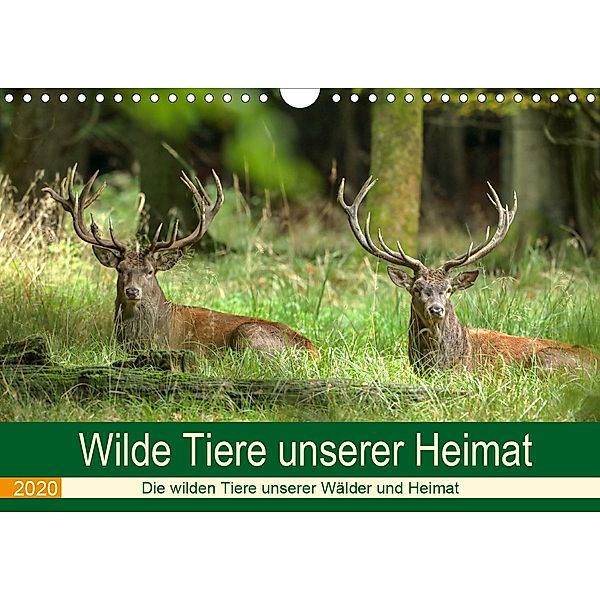 Wilde Tiere unserer Heimat (Wandkalender 2020 DIN A4 quer), Roland Brack