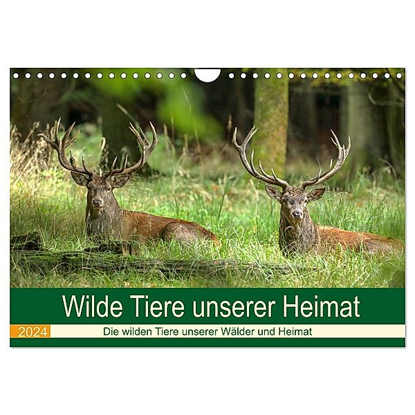 Wilde Tiere unserer Heimat (Wandkalender 2024 DIN A4 quer), CALVENDO Monatskalender, Roland Brack