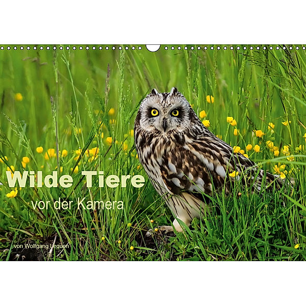 Wilde Tiere vor der Kamera (Wandkalender 2019 DIN A3 quer), Wolfgang Lequen