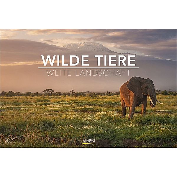 Wilde Tiere - weite Landschaft 2025