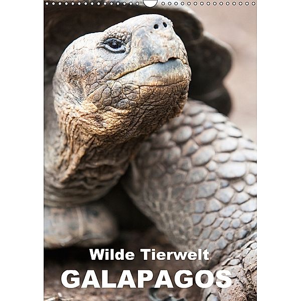 Wilde Tierwelt Galapagos (Wandkalender 2018 DIN A3 hoch), Sabine Reuke
