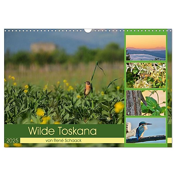Wilde Toskana - von René Schaack (Wandkalender 2025 DIN A3 quer), CALVENDO Monatskalender, Calvendo, René Schaack