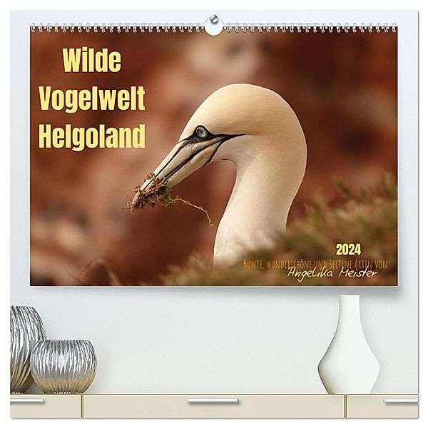 Wilde Vogelwelt Helgoland (hochwertiger Premium Wandkalender 2024 DIN A2 quer), Kunstdruck in Hochglanz, Angelika Meister