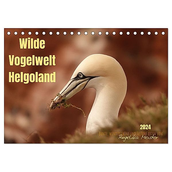 Wilde Vogelwelt Helgoland (Tischkalender 2024 DIN A5 quer), CALVENDO Monatskalender, Angelika Meister