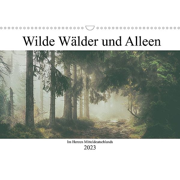 Wilde Wälder und Alleen im Herzen Mitteldeuschlands (Wandkalender 2023 DIN A3 quer), Steffen Wenske
