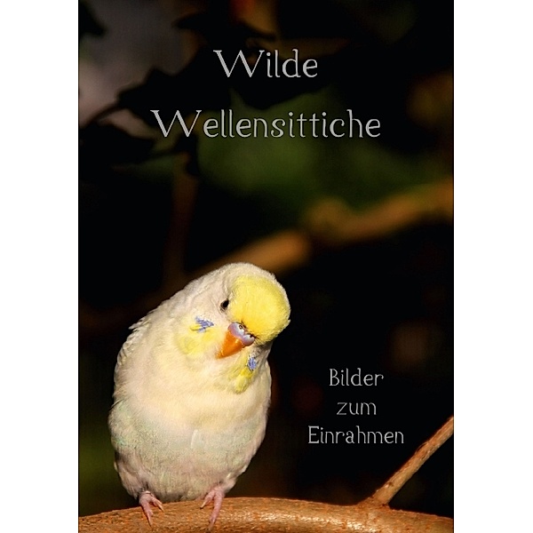 Wilde Wellensittiche - Bilder zum Einrahmen! (Tischaufsteller DIN A5 hoch), Björn Bergmann