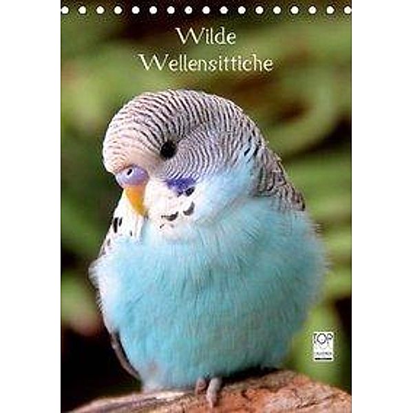 Wilde Wellensittiche (Tischkalender 2020 DIN A5 hoch), Björn Bergmann