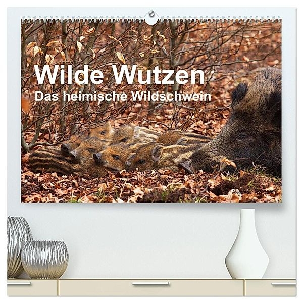Wilde Wutzen. Das heimische Wildschwein (hochwertiger Premium Wandkalender 2024 DIN A2 quer), Kunstdruck in Hochglanz, Alexander von Düren