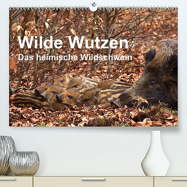 Wilde Wutzen. Das heimische Wildschwein (Premium, hochwertiger DIN A2 Wandkalender 2020, Kunstdruck in Hochglanz), Alexander von Düren