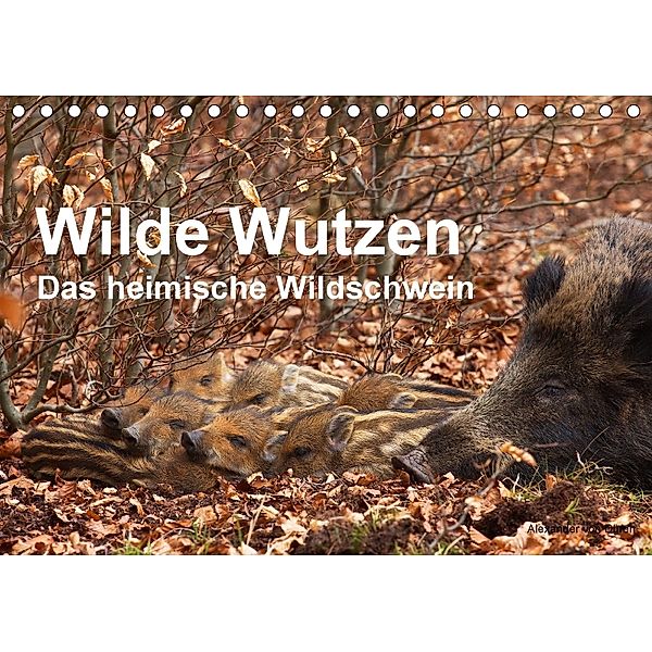 Wilde Wutzen. Das heimische Wildschwein (Tischkalender 2018 DIN A5 quer), Alexander von Düren