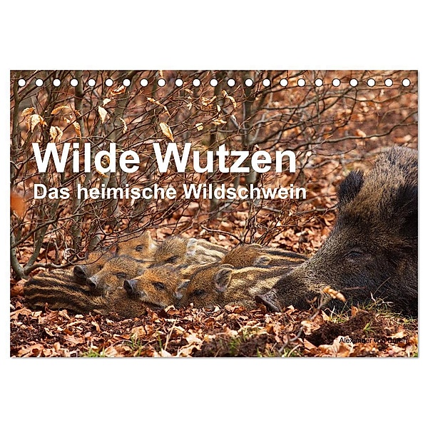 Wilde Wutzen. Das heimische Wildschwein (Tischkalender 2025 DIN A5 quer), CALVENDO Monatskalender, Calvendo, Alexander von Düren