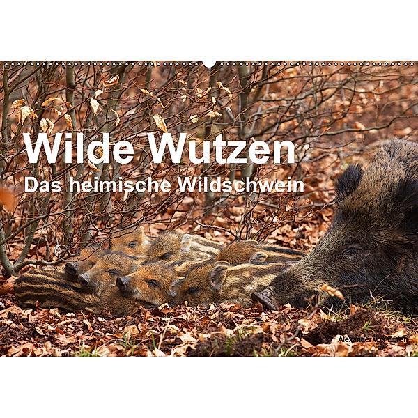 Wilde Wutzen. Das heimische Wildschwein (Wandkalender 2019 DIN A2 quer), Alexander von Düren