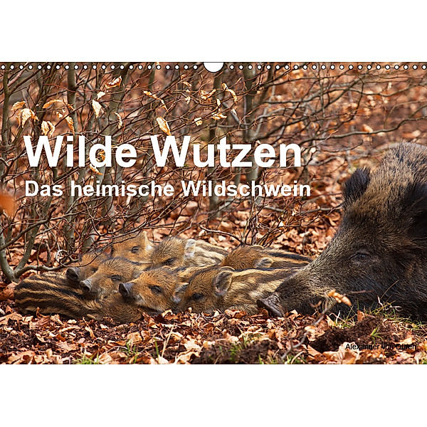 Wilde Wutzen. Das heimische Wildschwein (Wandkalender 2019 DIN A3 quer), Alexander von Düren