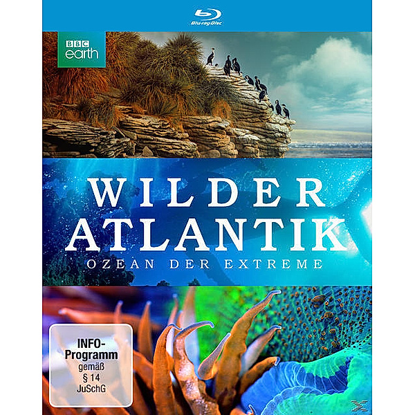 Wilder Atlantik - Ozean der Extreme, Dan Rees